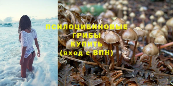 дмт Касимов