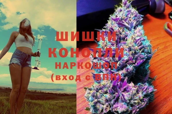 дмт Касимов