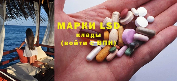 индика Архангельск