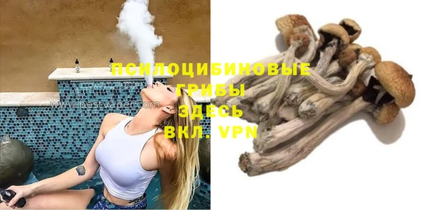 спайс Карпинск